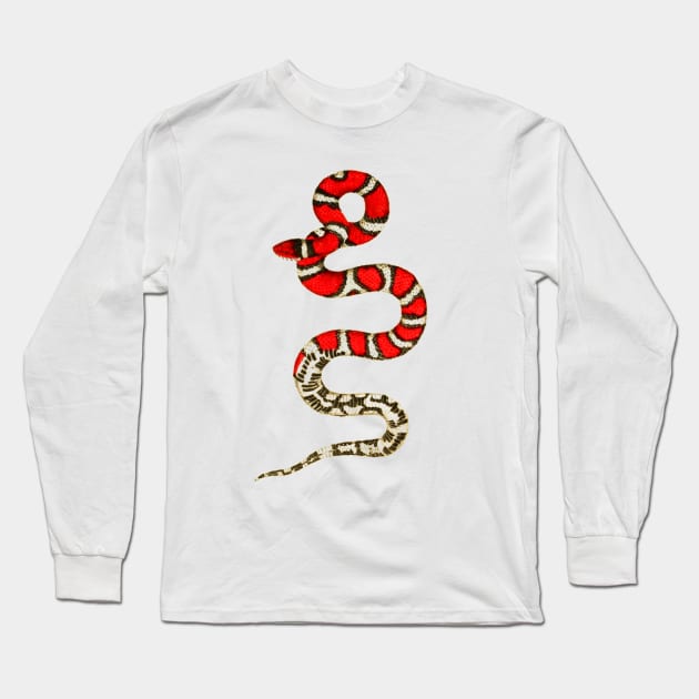 serpent,cobra,reptile,viper,venom,lizard,rattlesnake,king cobra,dragon,hydra,poison,venomous,plumber's snake,pythonidae,pythons,auger,python,squamata,serpentine,worm,big,ophidian,rattlesnakes,medusa,snakebite Long Sleeve T-Shirt by vabontchi